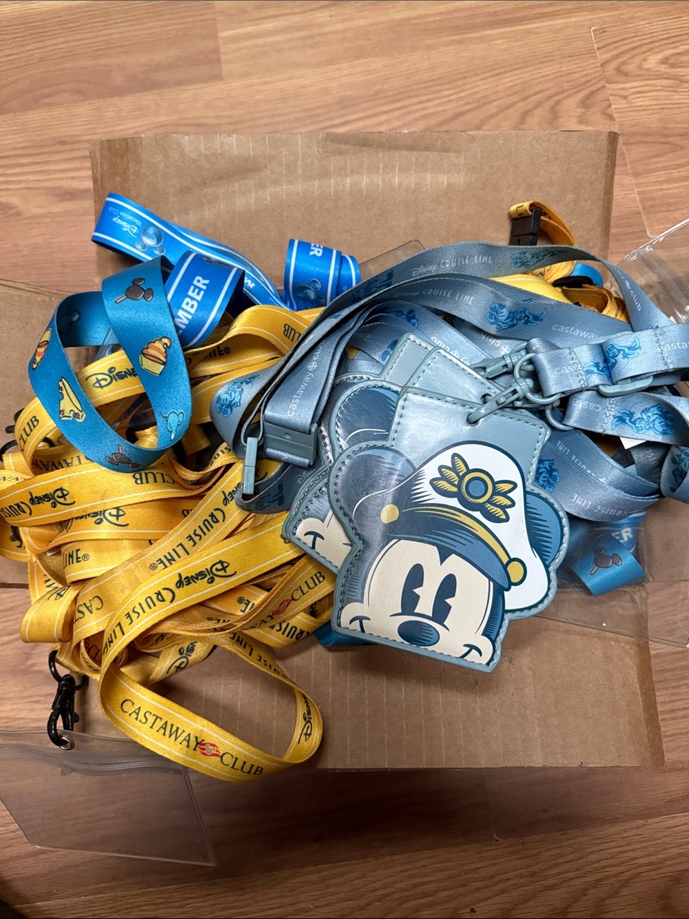 Lot of Disney Cruise Line Lanyards and Card Holder